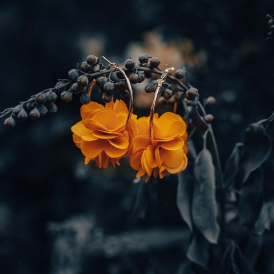 Pétalos de flor